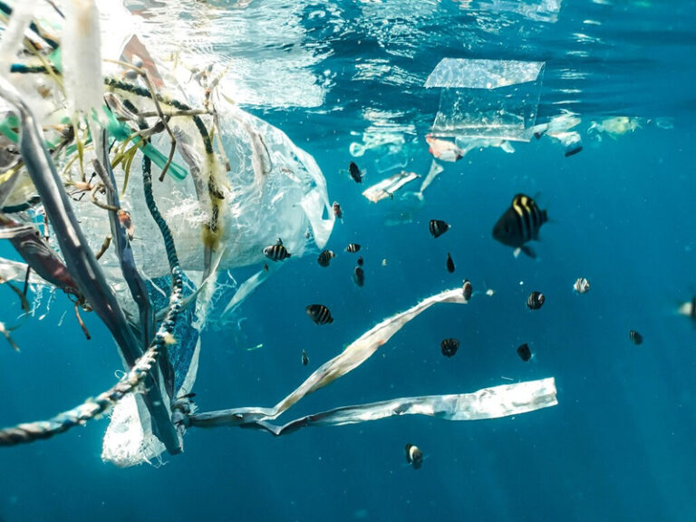 Indonesia, UAE Sign MoU to Cut Marine Plastic Waste